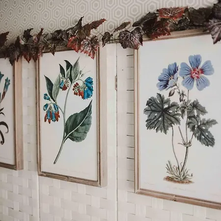 Francisco Pizarro Trujillo